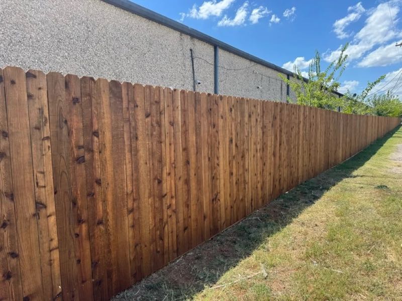 Cedar Privacy Fence in Frisco